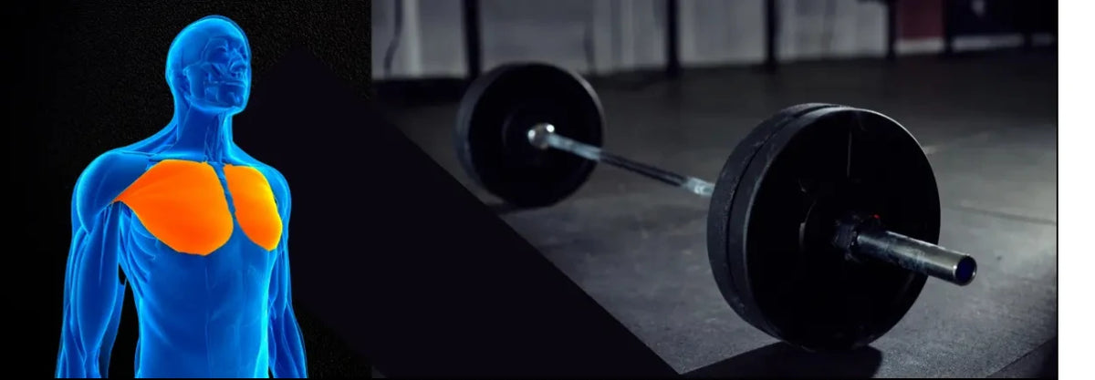 Barbelltraining voor Borstspieren