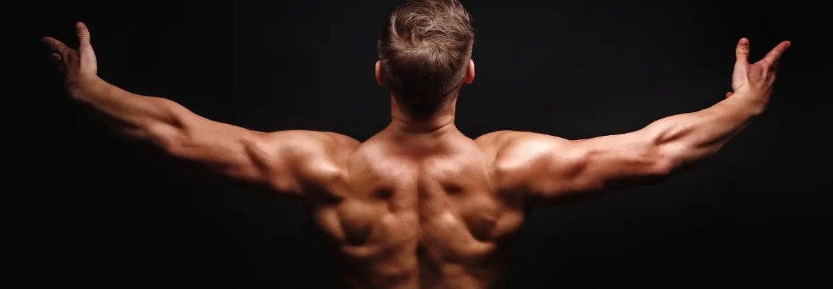 Rear view of a man flexing his back muscles