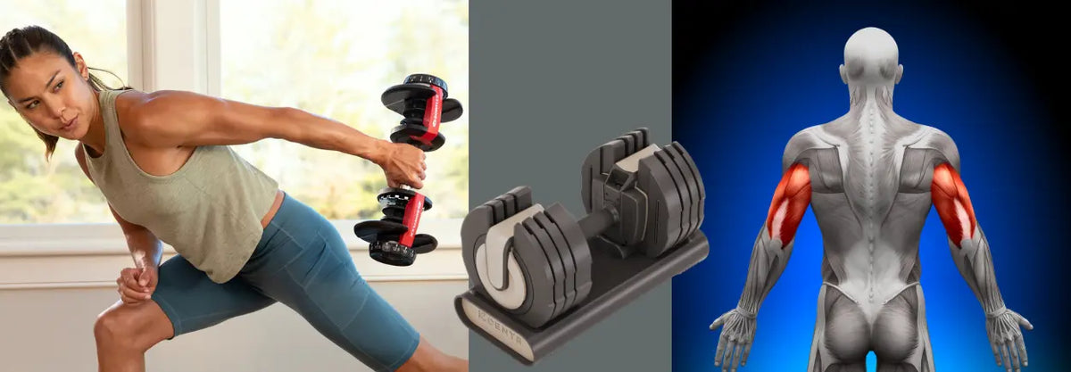 Woman doing a triceps exercise with a dumbbell beside a muscle illustration