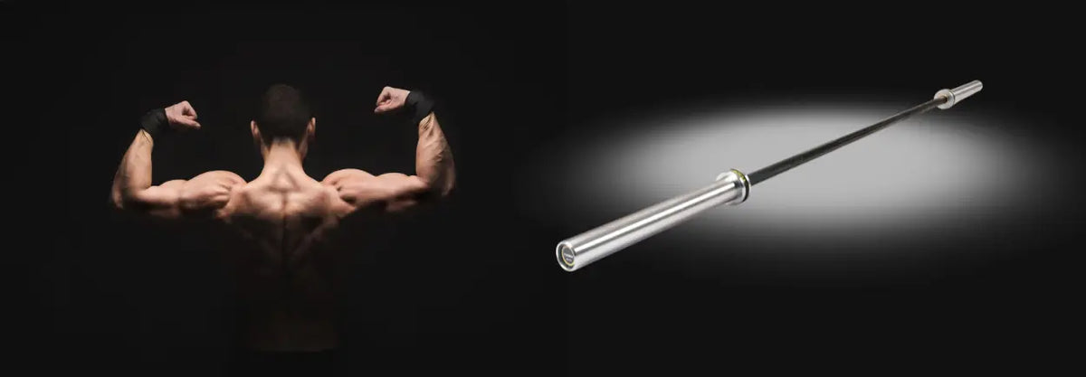 Flexed back muscles beside a barbell