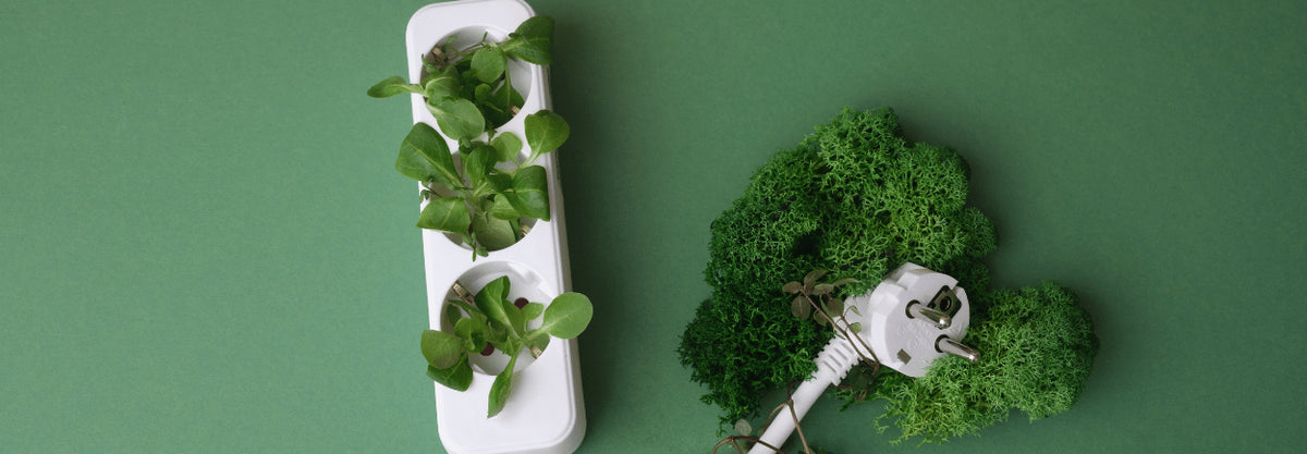 Broccoli op een groene achtergrond met bladeren en een plant