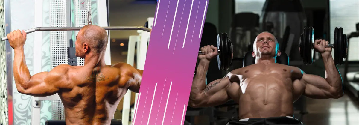 Back muscle illustration beside two men training their backs