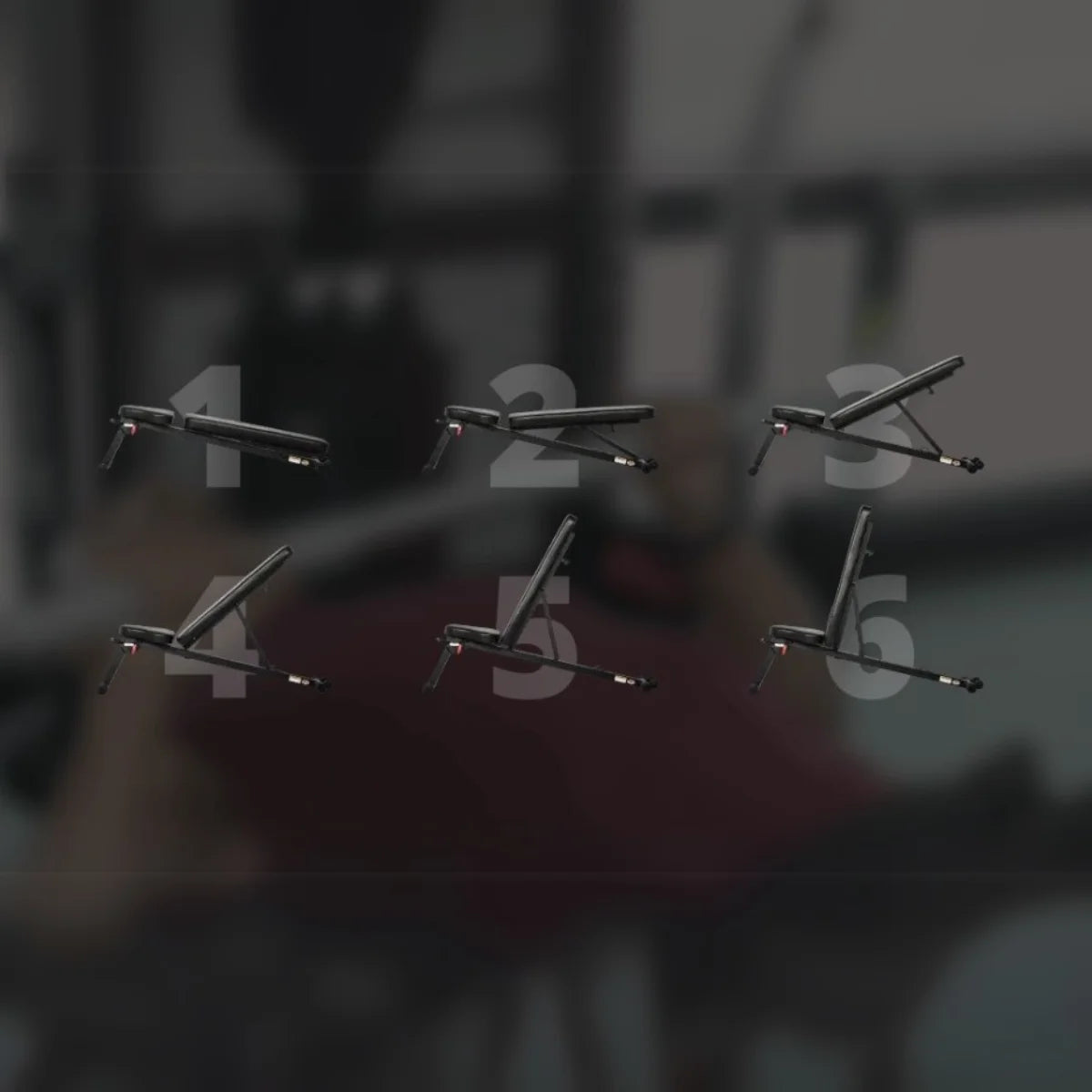 Centr 3 Home Gym met FLB2B Trainingsbank
