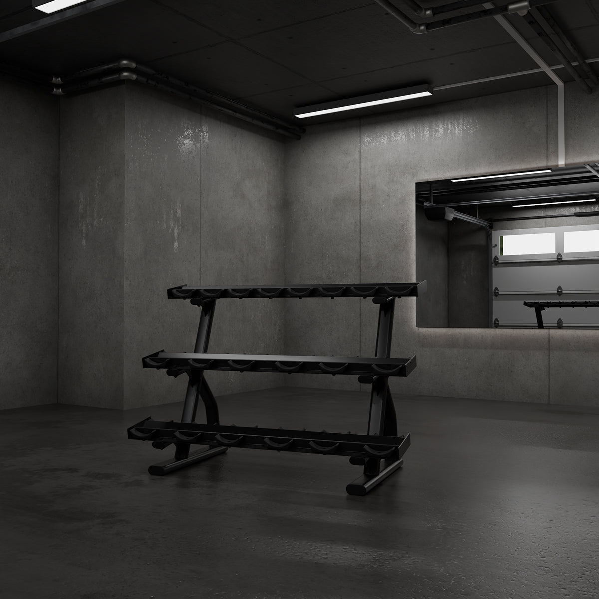 Centr x Hyrox dumbbell rek in een sportschoolomgeving