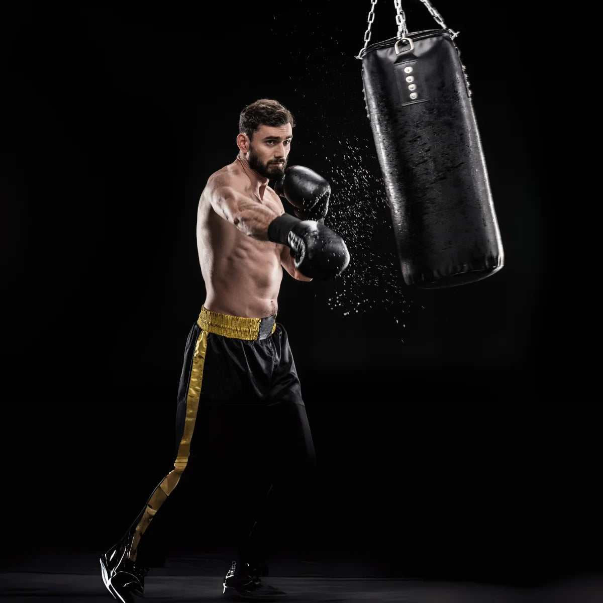 Toorx Fitness Boxing Bag Evo 30 kg