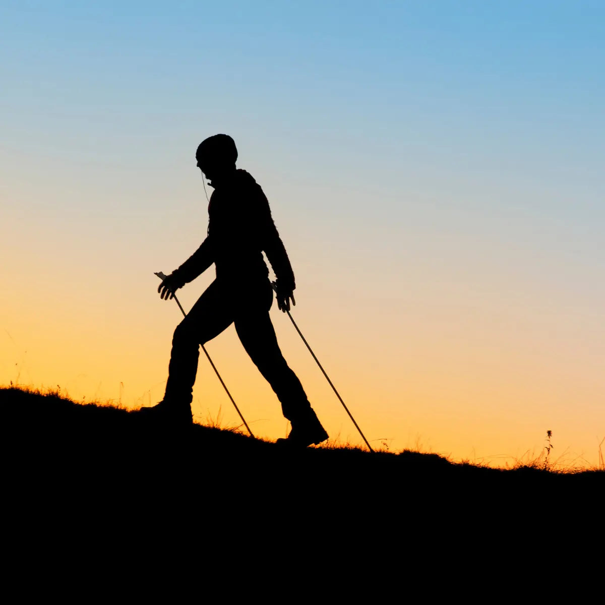 Toorx Fitness Wandelstok - Telescopisch Verstelbaar