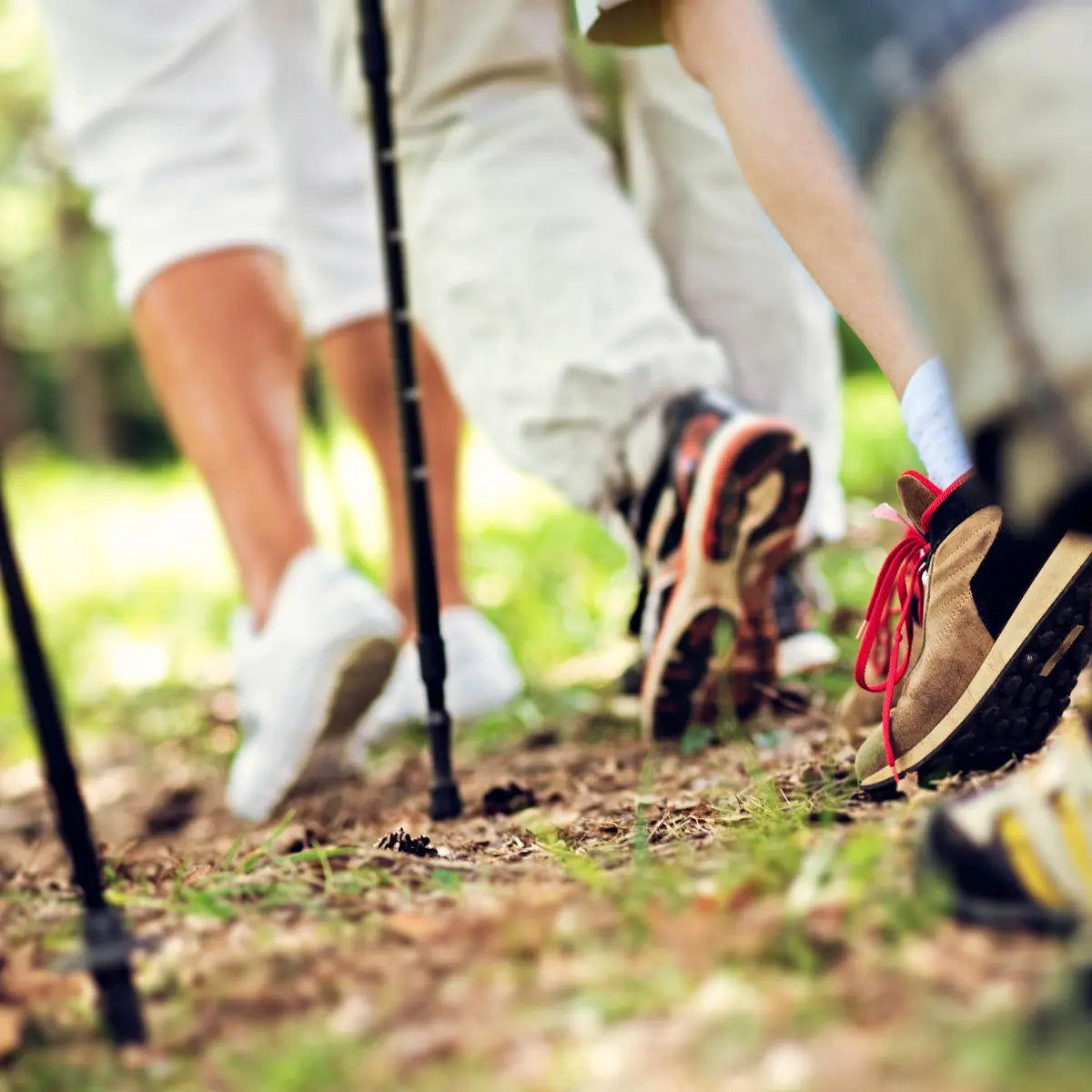 Toorx Fitness Wandelstok - Telescopisch Verstelbaar