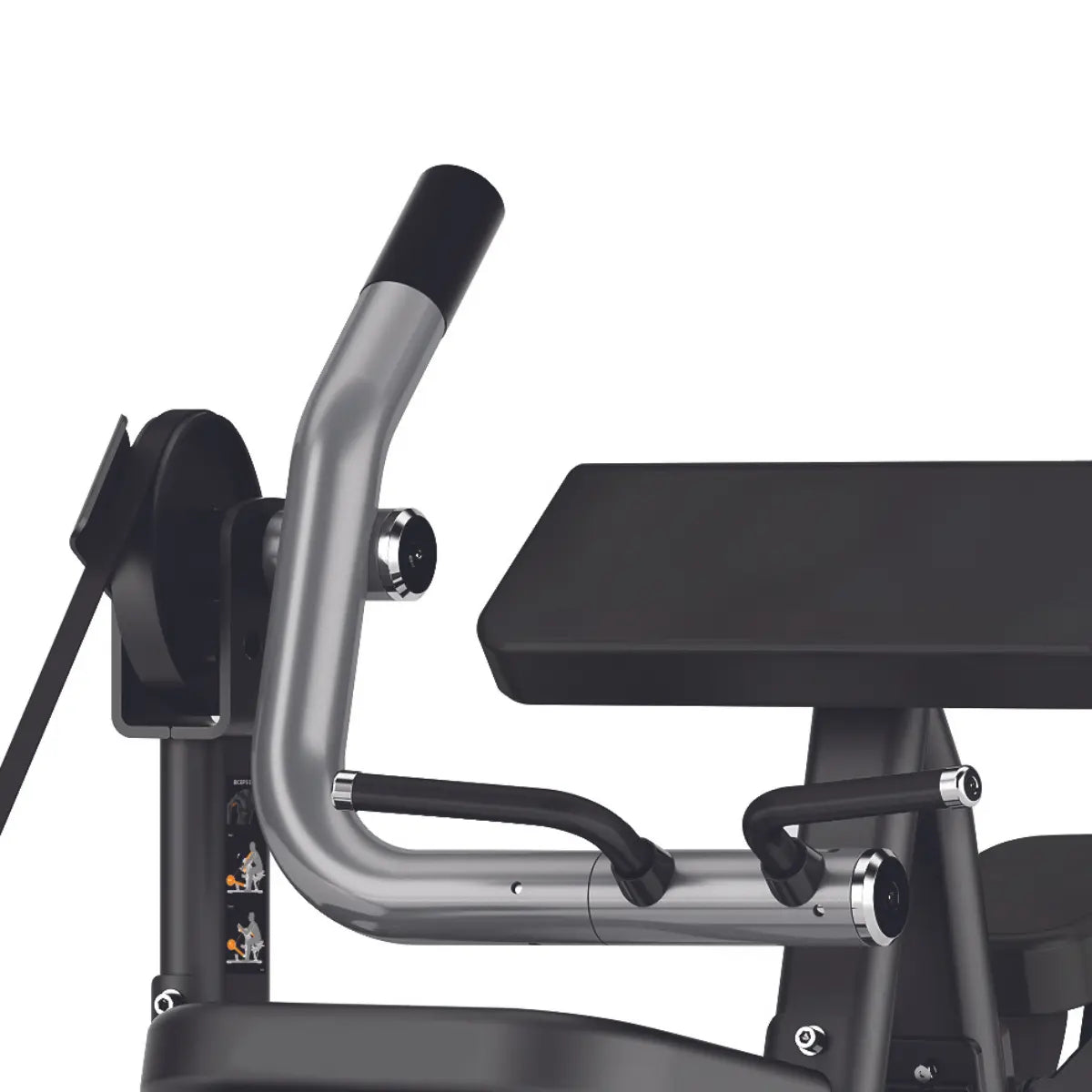 Toorx Professional ABSOLUTE - Biceps Curl FWX-8600