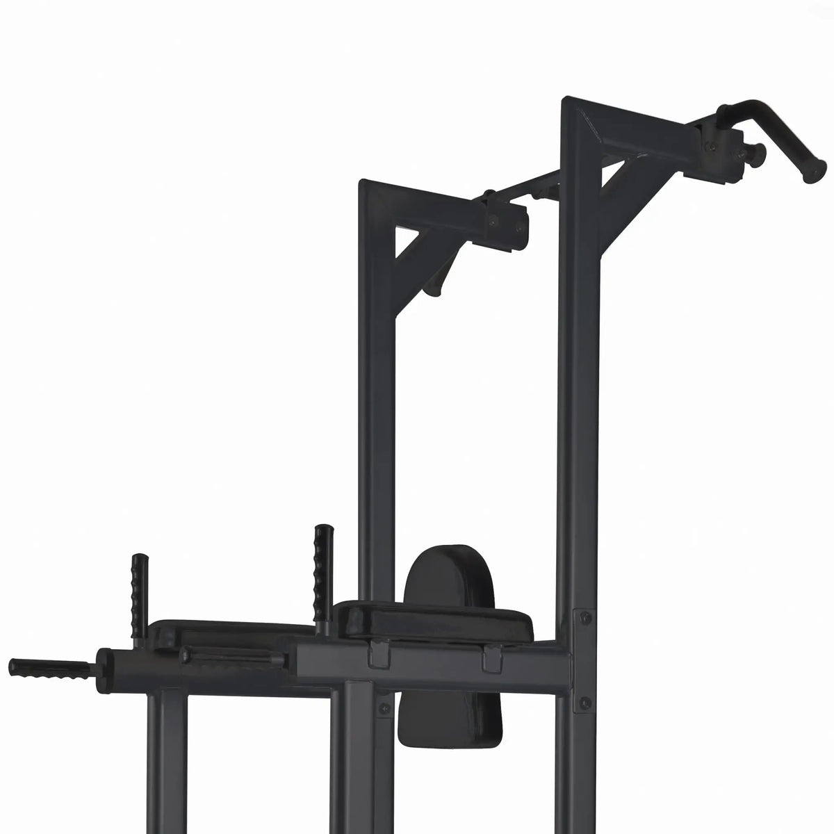 Toorx Professional WBX-B2800 Chin/Dip/Leg Raise